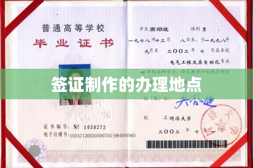 汤阴签证制作的办理地点