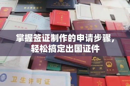 汤阴掌握签证制作的申请步骤，轻松搞定出国证件