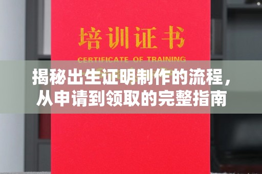 汤阴揭秘出生证明制作的流程，从申请到领取的完整指南
