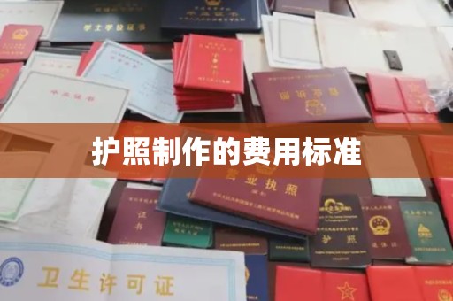 汤阴护照制作的费用标准